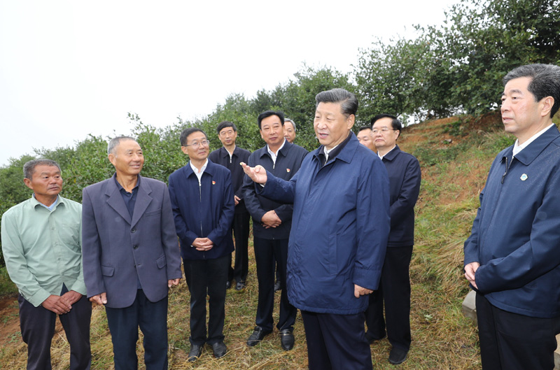 　　9月16日至18日，中共中央總書記、國家主席、中央軍委主席習近平在河南考察。這是17日上午，習近平來到信陽市光山縣槐店鄉(xiāng)司馬光油茶園，同正在勞作的村民和管理人員交流。 新華社記者 鞠鵬 攝